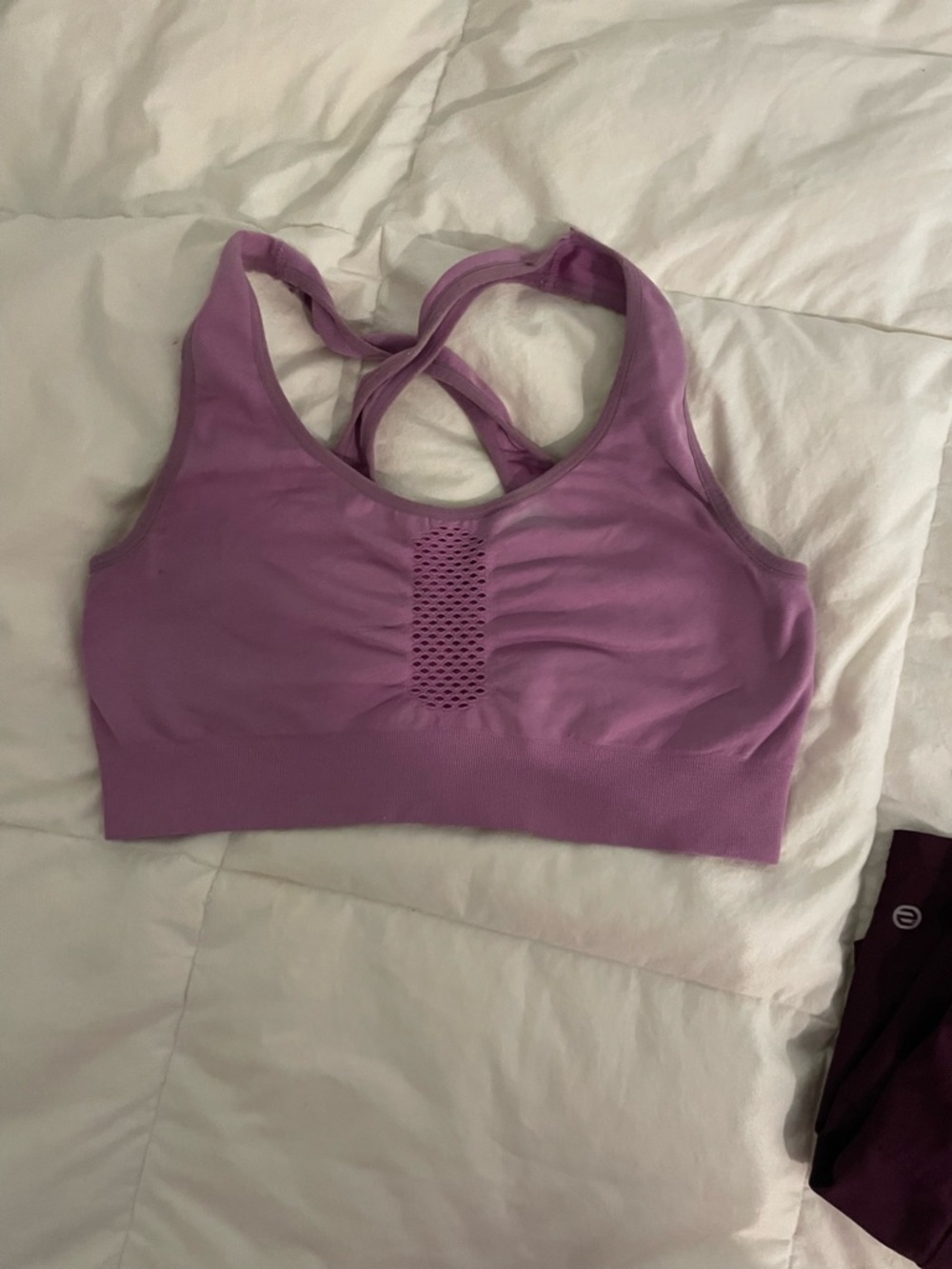 Lilac Seamless Sports Bra with Mesh Front Panel